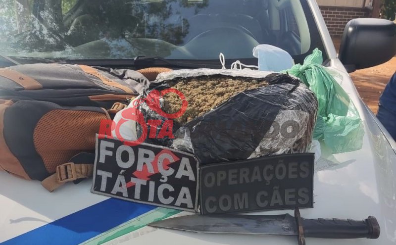 Cão farejador indica presença de droga e PM apreende 2 kg de maconha em São Miguel do Guaporé.